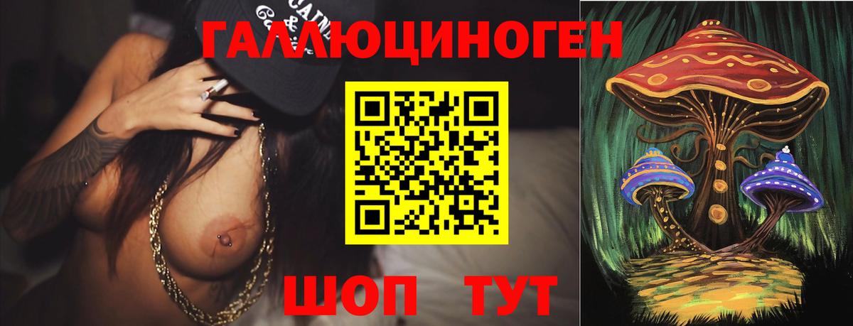 Псилоцибиновые грибы Psilocybe  Вход с VPN  Ипатово 